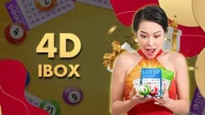 4D-IBox